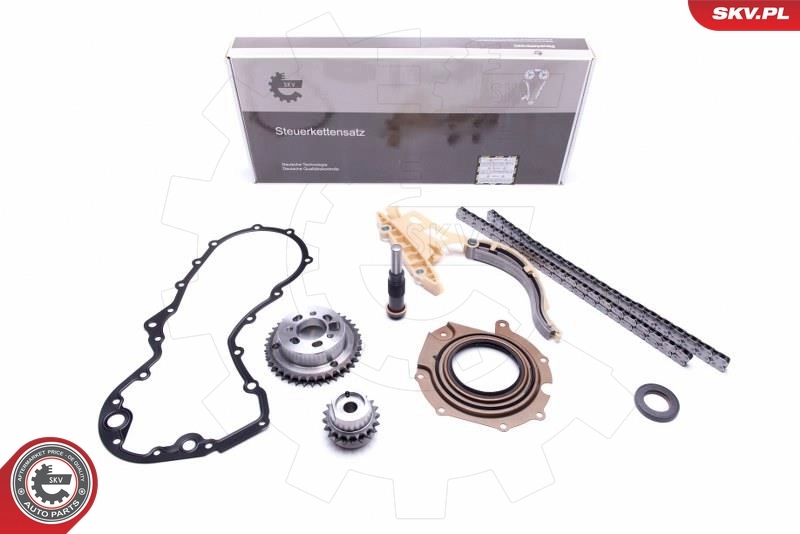 Timing Chain Kit